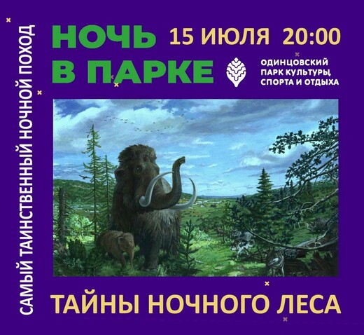 Ночной экскурсионный поход «Тайны ночного леса»