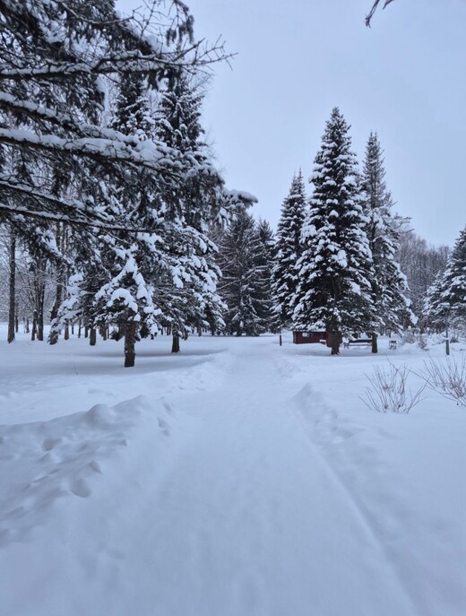 Пансионат «Петрово-Дальнее» 