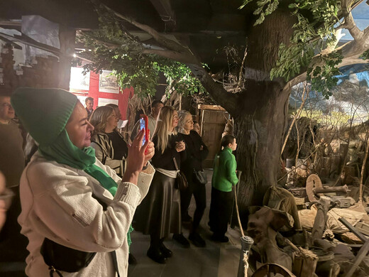 Экскурсии ко Дню защитника Отечества