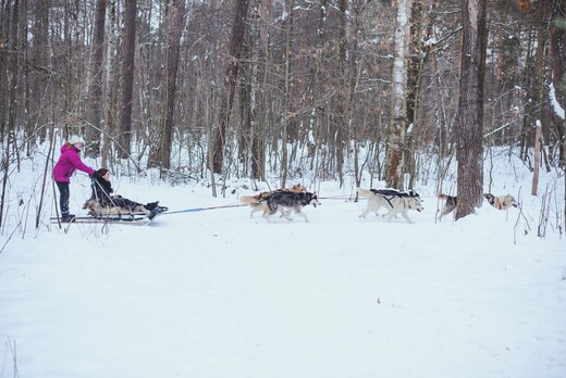 Центр ездового спорта и туризма «Бореалис»