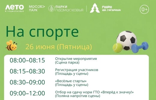 Мероприятие «На спорте» в Шатуре