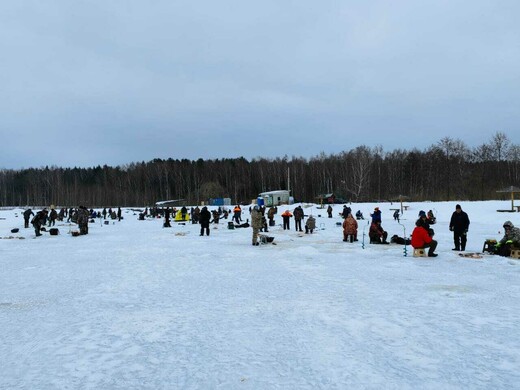 Рыбалка на прудах Егорьевского рыбокомбината