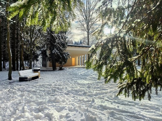 Лесопарк «Талицкий лес»