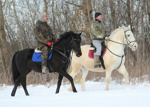 Конноспортивный клуб «Империя»