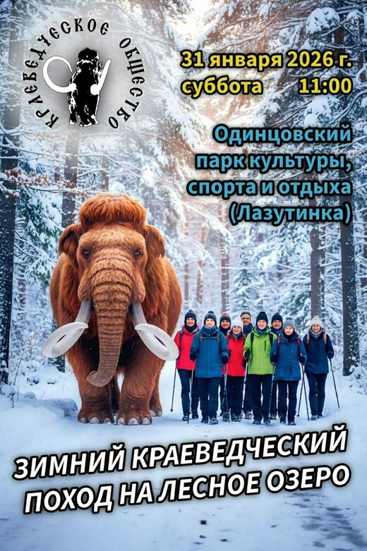 Зимний краеведческий поход в Одинцовском парке