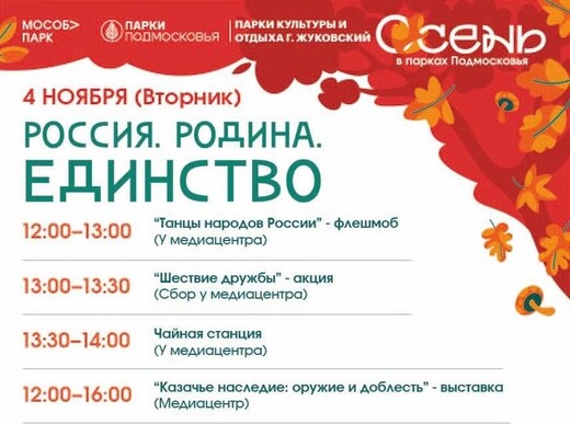 День народного единства в Жуковском