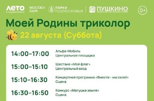Праздничное мероприятие «Моей Родины триколор» в Пушкино