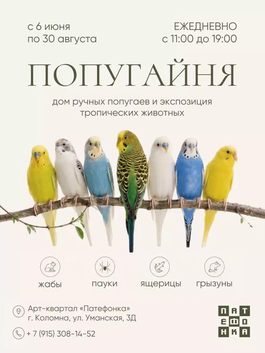 Тропикарий «Попугайня» в Коломне