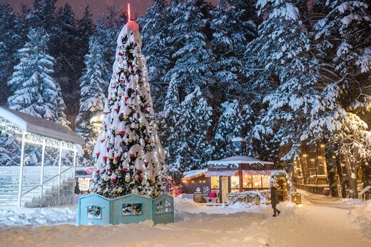 Парк «Ёлочки»