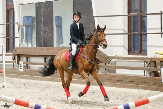 Конноспортивный клуб «Фаворит» 