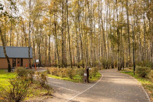 Парк «Городской лес» в Домодедове 2 ноября отпразднует день рождения