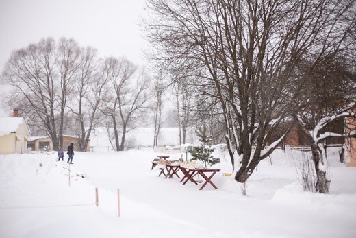 Кантри-парк «Задворки»