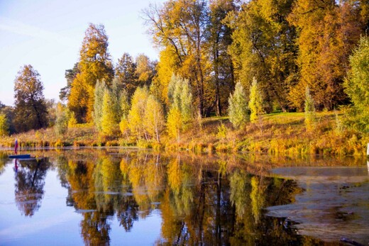Концерт скрипичной музыки «Звенит осенняя прохлада…»