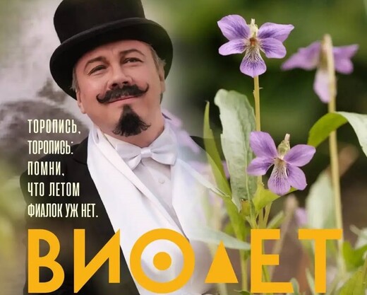 Фиалковый концерт «Виолет»