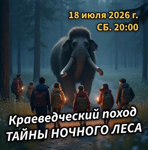 Ночной познавательный поход «Тайны ночного леса»