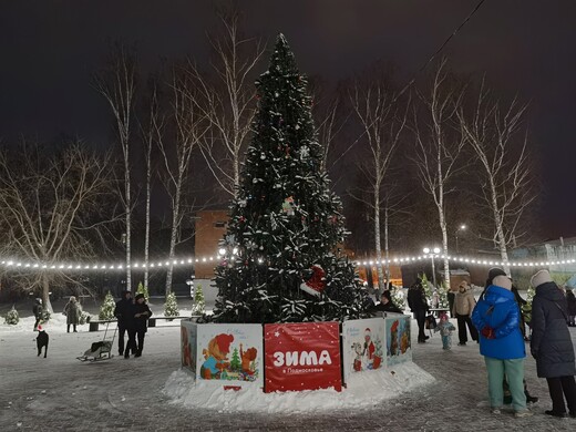 Высоковский городской парк культуры и отдыха «Березовый»