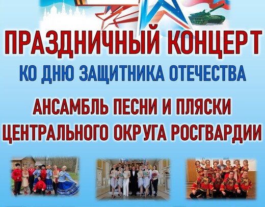 Праздничный концерт ко Дню защитника Отечества в Бронницах