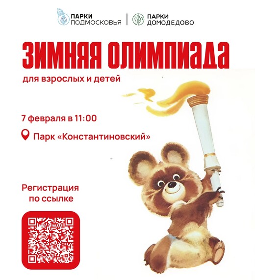 Зимняя олимпиада в Домодедове