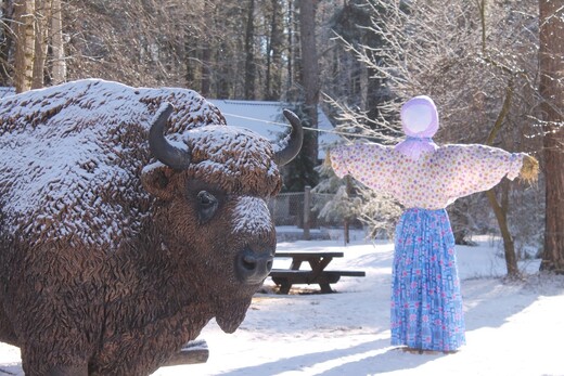 Масленица в Приокско-Террасном заповеднике
