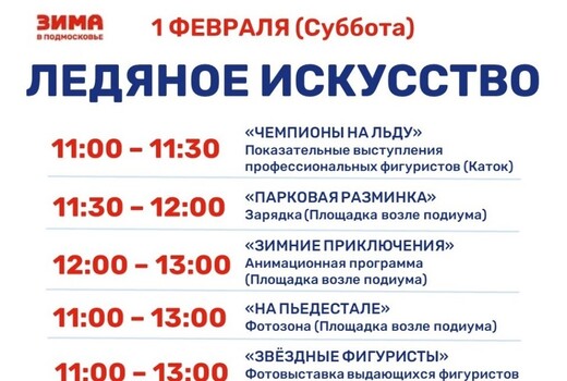 Мероприятие «Ледяное искусство» в Котельниках