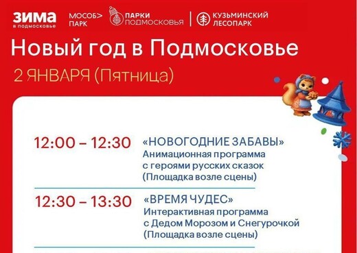 Мероприятие «Новый год в Подмосковье»
