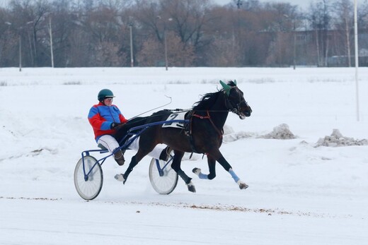 Раменский ипподром