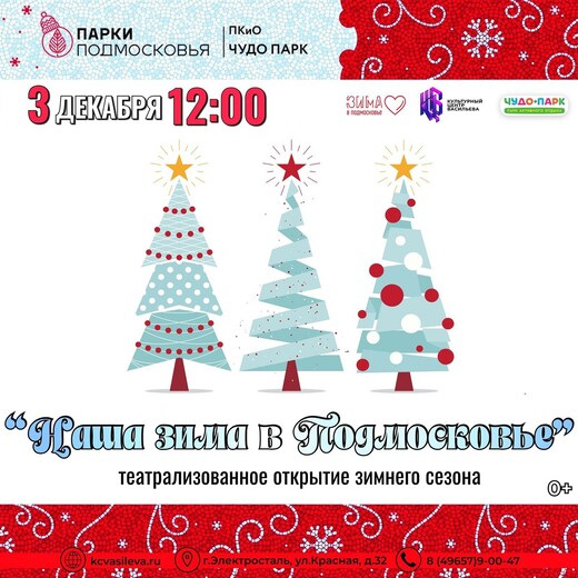 Программа «Наша зима в Подмосковье» в Электростали