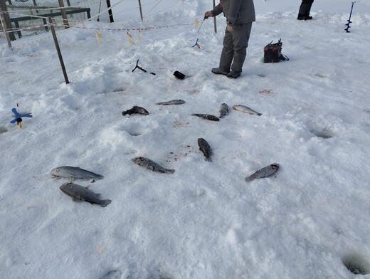 Рыболовный клуб «Триал Русская Рыбалка»