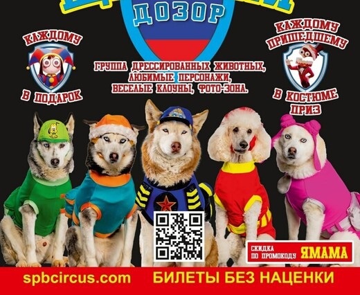 Шоу «Щенячий дозор» в Котельниках