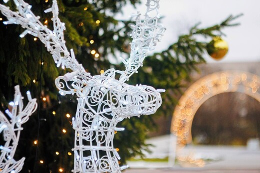 Городской парк (парк аттракционов)