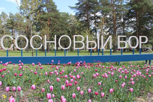 Парк «Сосновый бор»