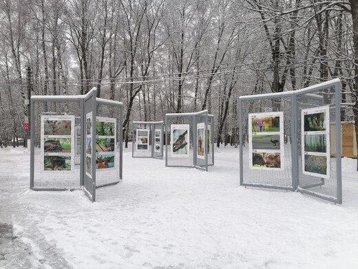 Приокско-Террасный заповедник открыл фотовыставку в Туле