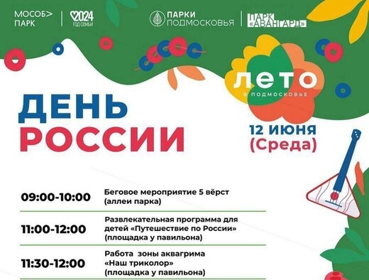 День России в Электростали