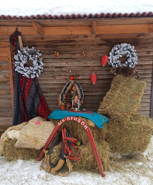 Конноспортивный клуб «Прибой»