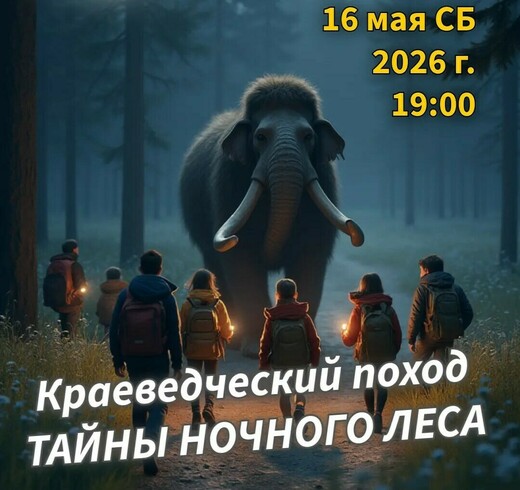 Ночной экскурсионный поход в парке «Тайны ночного леса»