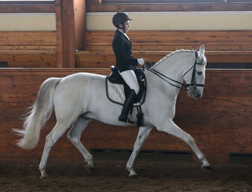 Конноспортивный комплекс «Новый век»