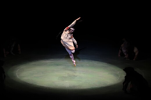 Звенигородский музей-заповедник приглашает на интерактивную программу «Рерих и балет» 