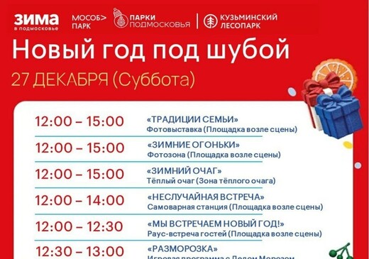 Праздничное мероприятие «Новый год под шубой» в Котельниках