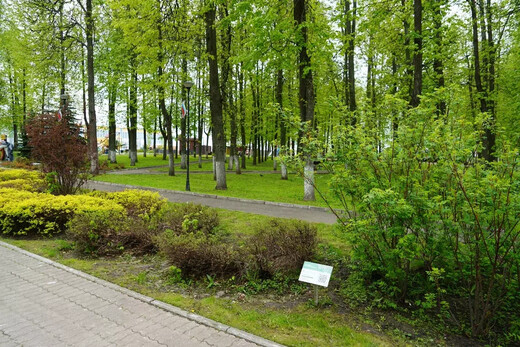 Городской парк культуры г. Егорьевска