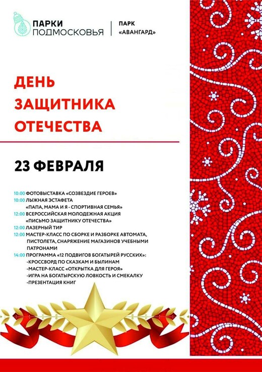 День защитника Отечества в Электростали