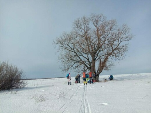 Зимние походы в турклубе «Ковчег»