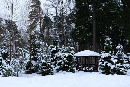 Мытищинский лесопарк