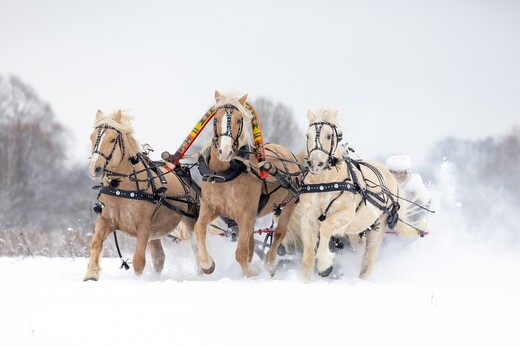 Ранчо «Аванпост»