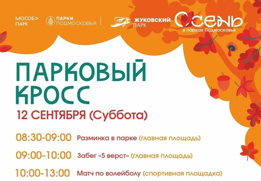 Мероприятие «Парковый кросс» в Жуковском