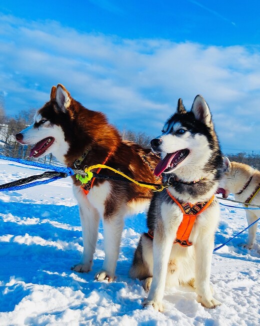 Парк отдыха «Зооферма Шихово»