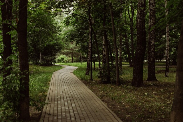 Парк им. Стрекалова