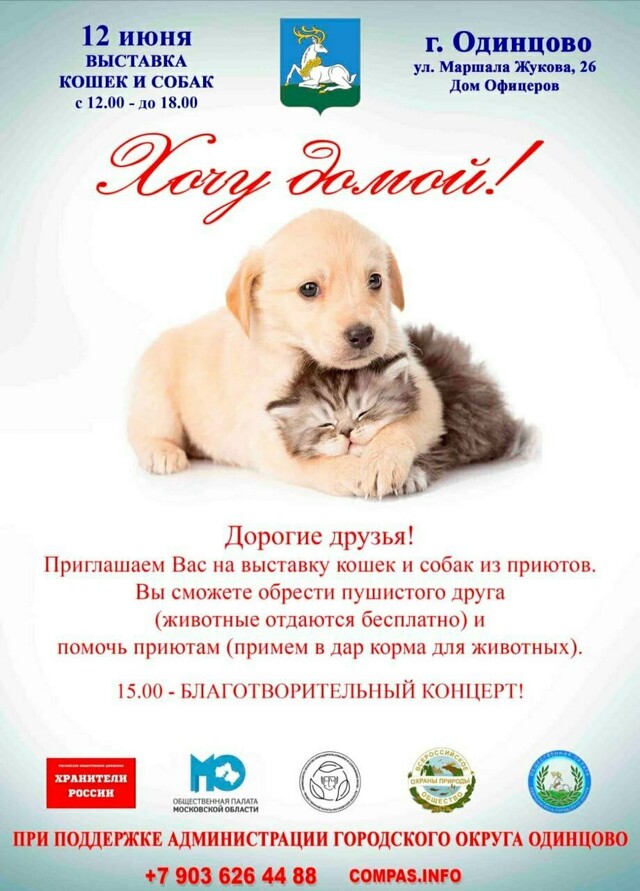 Благотворительная выставка животных из приютов «Хочу домой»