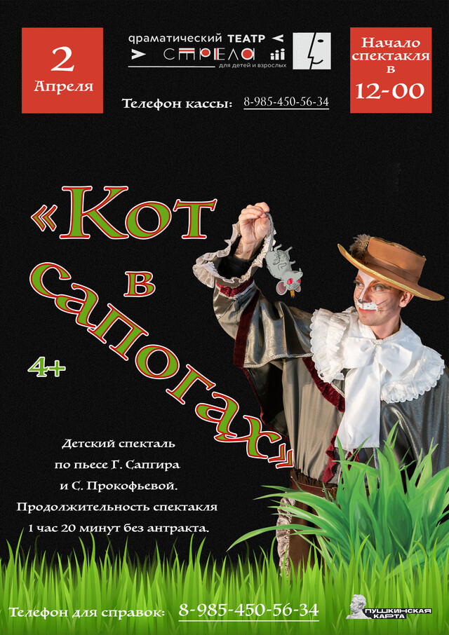 Спектакль «Кот в сапогах»