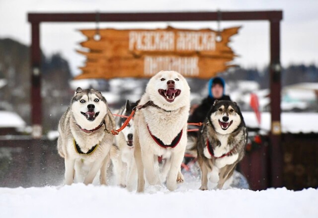 Семейный тур по западу Подмосковья: природа, животные и активный отдых