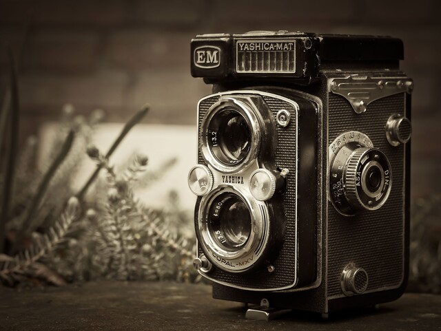 Фотоконкурс «Усадьбы Лопасненского края в объективе фотоаппарата: времена года»
